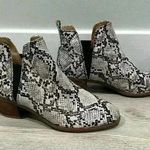 Dr. Scholls Dr. Scholl’s Amara Faux Snakeskin Ankle Boots Slip On Booties 2.5” Heel Size 6.5 Photo 0