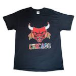 Chicago Bulls T Photo 0