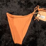 Stone Fox Swim  Bottom Photo 4