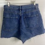 PacSun  shorts high rise icon denim blue jean cotton shorts Sz 29 Photo 6