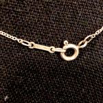 Tiffany & Co. Paloma Picasso Zig Zag Sterling Silver Necklace FULL INCLUSION Photo 6