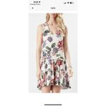 Karen Kane rose garden drop waist shift dress floral sleeveless cottagecore Photo 8