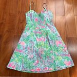 Lilly Pulitzer Womens Seasalt Blue On Parade Easton Dress 2 Photo 4