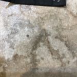 Sharmark Las Vegas Metallic Gold Sequin Beaded Shawl Wedding Flapper Party Wrap Black Photo 6