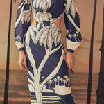 Johanna Ortiz Holistic Jungle Embroidered Midi Dress Navy Ecru 2 EUC Blue Photo 0