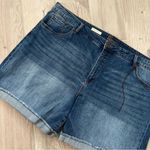 Kut From The Kloth NWT  Katy Boyfriend Short - Size 24W Photo 2