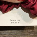 Vera Bradley  Dog Show Scrunchie Trio  Dogs, Gray, and Red Photo 3