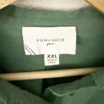 TUCKERNUCK POMANDER PLACE | Green Polly Oxford Shirt Dress Collared | Size XXL Photo 4