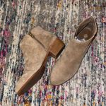 Antonio Melani Ankle Boots Photo 4