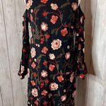 Luxology  Embroidered Dress Photo 0