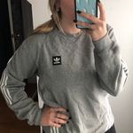 Adidas Gray Crewneck Photo 0