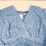 Alex Marie  Blue‎ Polka Dot Long Sleeve Dress Knee Length Chiffon Plus Size 20W Photo 4