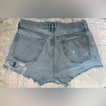 AGOLDE Parker Vintage Loose Fit Button Fly Cut-Off Shorts Photo 8