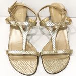 Stuart Weitzman  6 Midtanga Bali Snake Kitten Heel Sandal Champagne Gold Metallic Photo 1