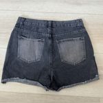 Simple Society  Women's Black Denim Shorts Photo 5
