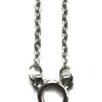 Leo Horoscope Sign Charm Pendant Necklace Silver Photo 0