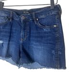 Dear John  Women’s Sz 28 Shorts Distressed Denim Jean Raw Hem Photo 1