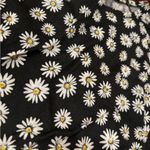 Aeropostale Daisy Crop Top Photo 1