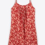 Laurence Tavernier Photo 3