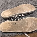 Jellypop  cow print size 9 Photo 1