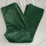Tuckernuck  Green Corduroy Ashford Pants Size XL Photo 8