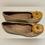 Staccato  Tan Flats with Floral Detail Photo 1