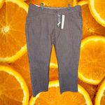 NWT Lee Platinum‎ Label Dark Chocolate Dress Pants Size 18S Brown Photo 4