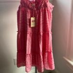 Entro New with tags  Pink babydoll dress  size large Photo 0