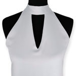 Mahina  | Small | Slinky Blue-Gray Satin Sleeveless Tie-Neck Tiered Mini Dress Photo 1