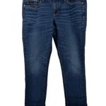 Pilcro and the Letterpress Anthropologie Pilcro Women 32 Stet Mid-Rise Skinny Ankle Jeans Medium Wash Denim Photo 0