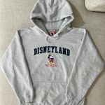 Disney land Hoddie Photo 1