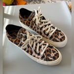 Converse  Women's Chuck Taylor All Star Lift Ox Canvas NEW in box size 8 platform Photo 2