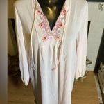 Vintage Light Pink Sheer Nightgown with Embroidered Chest with Tie at Neck Small Photo 8