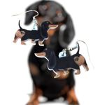 Dachshund Earrings New Dangle Hooks Double Sided Black Tan Weenie Dog Ge… Photo 10