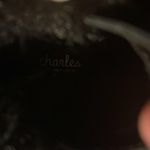 Charles David Charles by  Ramiro boots Photo 7