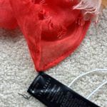 Ted Baker : Rhapsody Long Silk Scarf Photo 3