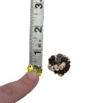 Les Bernard Vintage Signed Designer Round Circle Cluster Clip On Earrings Photo 6