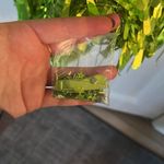 Neon Lime Green Party Dress Size 2 Photo 11