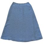 Pendleton  Maxi Skirt size 10 Petite Blue Cottagecore 100% polyester‎ Photo 0