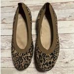 Stuart Weitzman  Animal Print Ballet Flats Women's Size 6.5M Neutral Leopard Photo 1