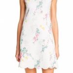 Ted Baker Cainey Sorbet Shift Dress NEW Photo 0