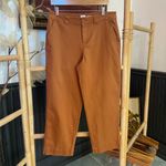 A New Day Rust Brown Straight Leg Ankle Pants Sz 10 ππ Photo 2