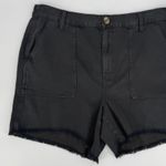 Aerie Adventure Shorts Large Black Utility Raw Hem Elastic Waist Casual Comfy Photo 2