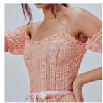 For Love & Lemons  Peach Dakota Lace Off Shoulder Bustier Corset Dress Medium Photo 8