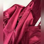 EXPRESS Beautiful dressy VELVET jumpsuit 🌹🌹$158 Photo 4