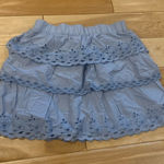 J.Crew  Skirt Photo 0
