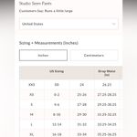 Free People #26 NWT  Studio Siren Pants in Lava Photo 4