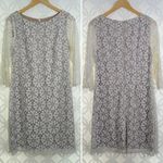 Eliza J ELIZA‎ J Ivory Floral Lace Overlay Shift Dress Size 8 Photo 2