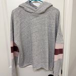 Abercrombie & Fitch Gray Sweatshirt with Pink and Maroon Striped Photo 1