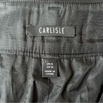 Carlisle black pencil skirt career work office minimalist staple classic sleek Photo 8